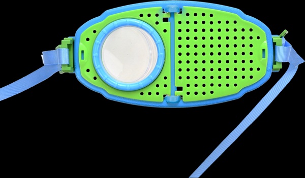 Caja de Estudio de Insectos L